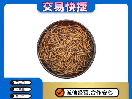 驻马店市汝南礼品回收虫草.jpg
